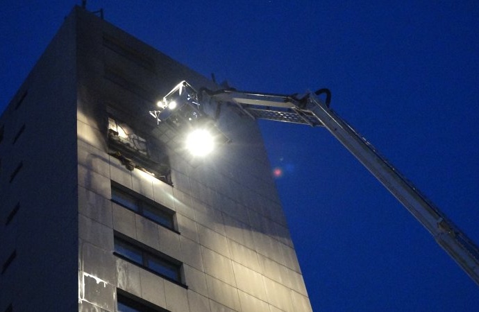 Zwei Hunde kommen beim Hochhausbrand ums Leben Zwei Hunde kommen beim Hochhausbrand ums Leben