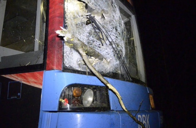 Tram-Unfall durch umgestürzten Baum Tram-Unfall durch umgestürzten Baum