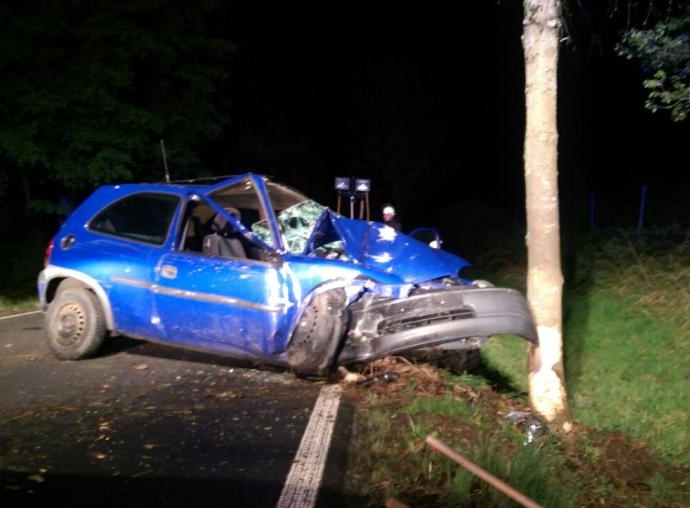 Autofahrer stirbt nach Unfall auf Landstraße Autofahrer stirbt nach Unfall auf Landstraße