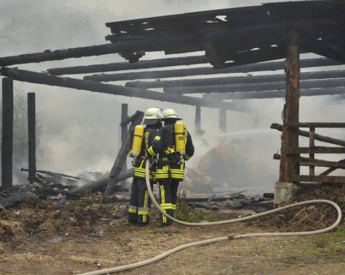 Stallung brannte – Tiere gerettet