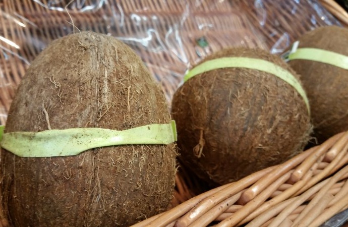 Kokosnuss als Aschenbecher benutzt – Feuerwehreinsatz Kokosnuss als Aschenbecher benutzt – Feuerwehreinsatz