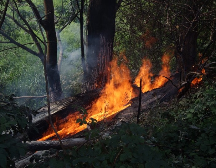 Déjá-vu bei der Feuerwehr Niestetal