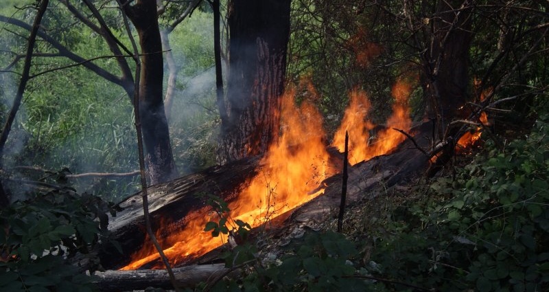 Déjá-vu bei der Feuerwehr Niestetal