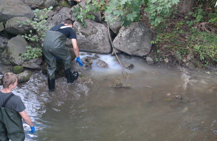 WOH: Chemikalien im Bachlauf