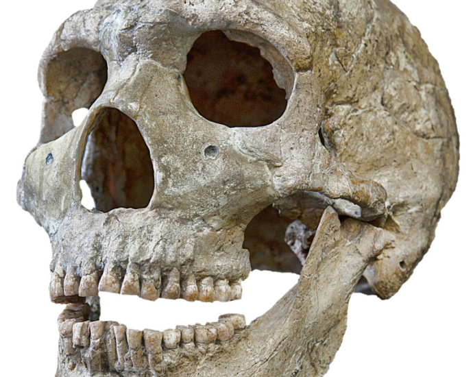 Weltweit einzigartige Ausstellung in Südhessen