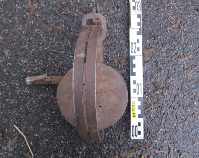 Tierfalle: Hund findet schwerverletzte Katze Tierfalle: Hund findet schwerverletzte Katze