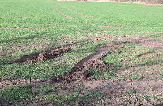 Calden: Mann auf Feldweg im Auto erschossen – Tatverdächtiger verhaftet Calden: Mann auf Feldweg im Auto erschossen – Tatverdächtiger verhaftet