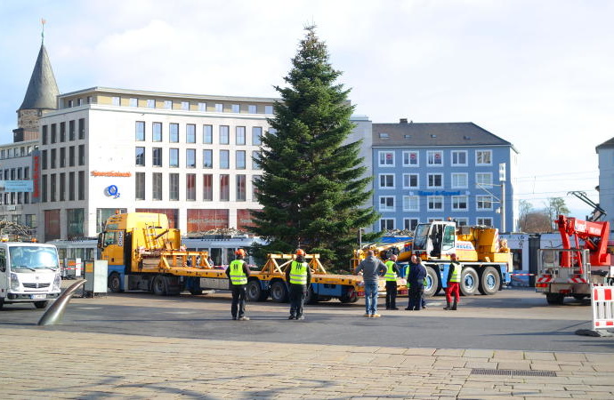 KS: 3400 Meter Lichterkette – Weihnachtsbaum auf dem Königsplatz ist fertig KS: 3400 Meter Lichterkette – Weihnachtsbaum auf dem Königsplatz ist fertig