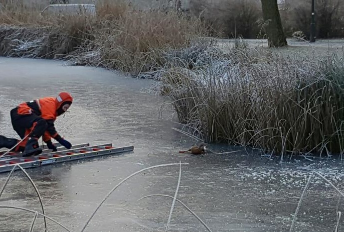 Ente gut, alles gut – Erster Einsatz mit „Happy End“