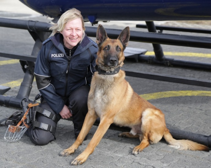 Rocky: Vierbeiner in luftiger Mission