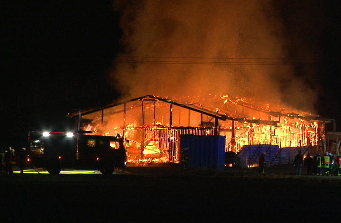Schauenburg: Tiere in letzter Sekunde gerettet