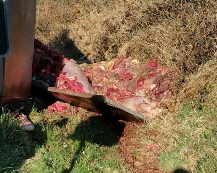 LKW mit Fleischabfällen umgekippt – Vollsperrung