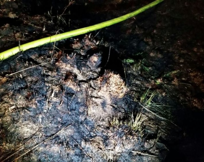 Rund 3000m² Waldboden in Brand geraten – Feuerwehr im Großeinsatz