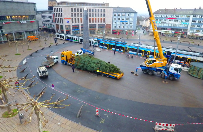 Der Kasseler Weihnachtsbaum – Vom Garten bis zum Weihnachtsmarkt