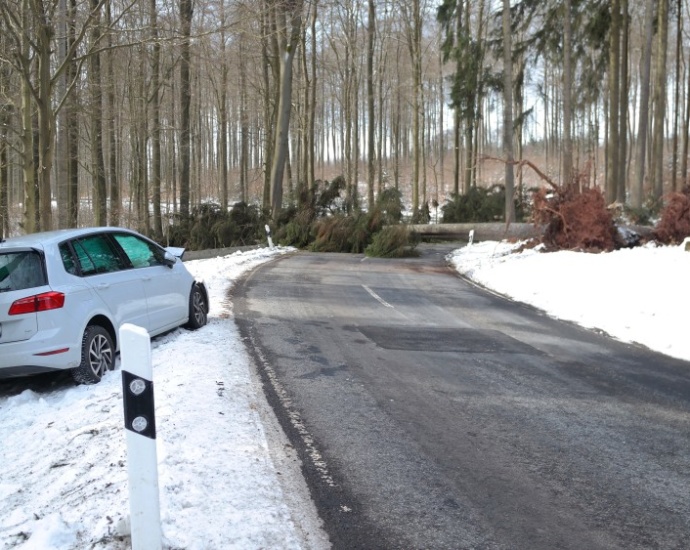 Winter-Comeback: Sturm in Nordhessen – Personen zwischen Bäumen eingeschlossen