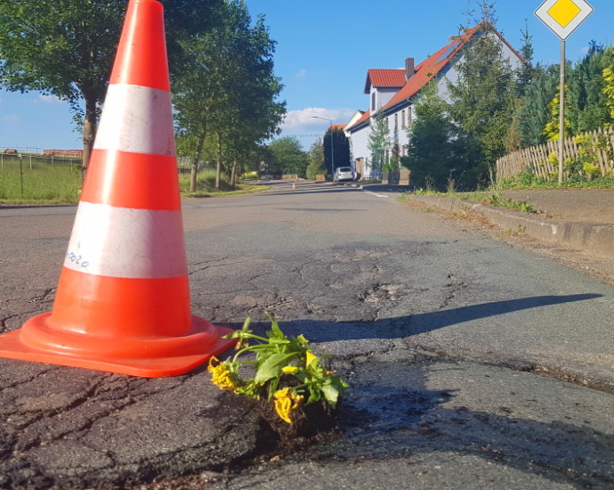 WOH: Schlaglöcher mit Stiefmütterchen bepflanzt