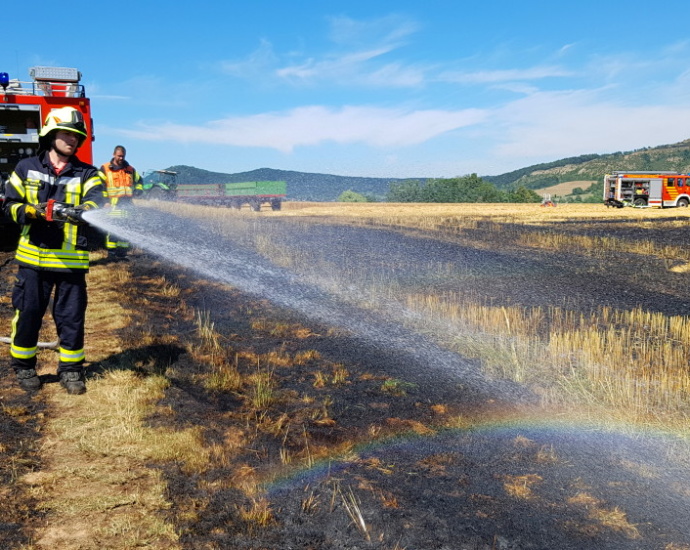 Rund 1.000 Quadratmeter Feld brannte bei Habichtswald Rund 1.000 Quadratmeter Feld brannte bei Habichtswald
