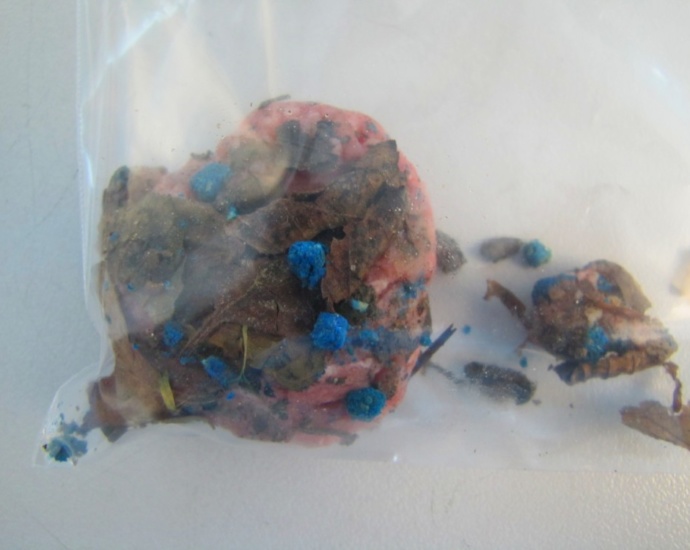 Blaue Körner in Hackfleisch – Polizei warnt vor vergiftete Köder