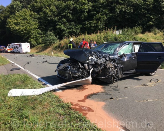 Hund nach schweren Unfall auf B80 vermisst