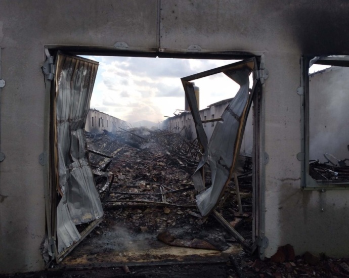 Mittelhessen: 5.000 Hühner kommen bei Brand ums Leben