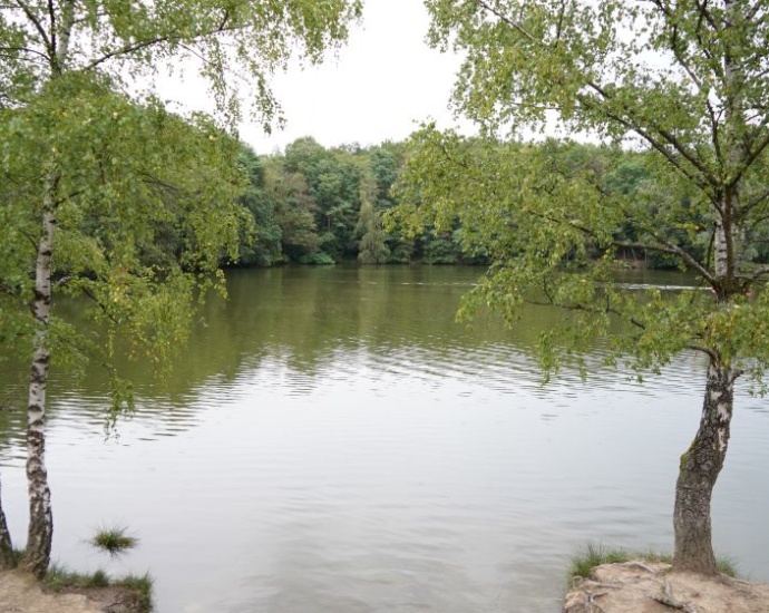 Badeunfall am Stellbergsee: Spaziergänger ziehen 74-Jährigen leblos aus dem Wasser
