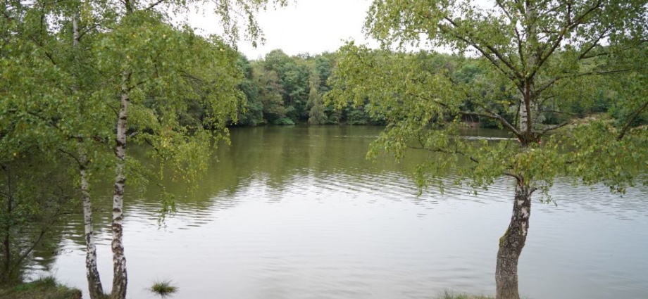 Badeunfall am Stellbergsee: Spaziergänger ziehen 74-Jährigen leblos aus dem Wasser