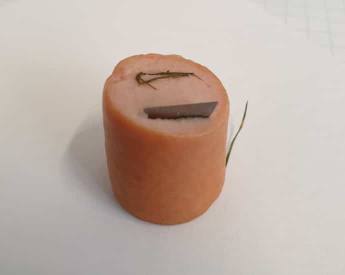 Fritzlar – Hund findet manipuliertes Wurststück mit Rasierklinge