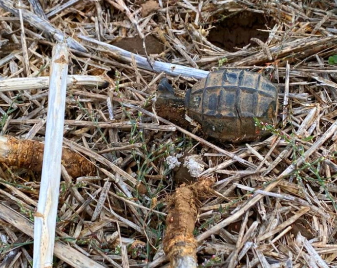 Spaziergänger findet Handgranate in Südhessen