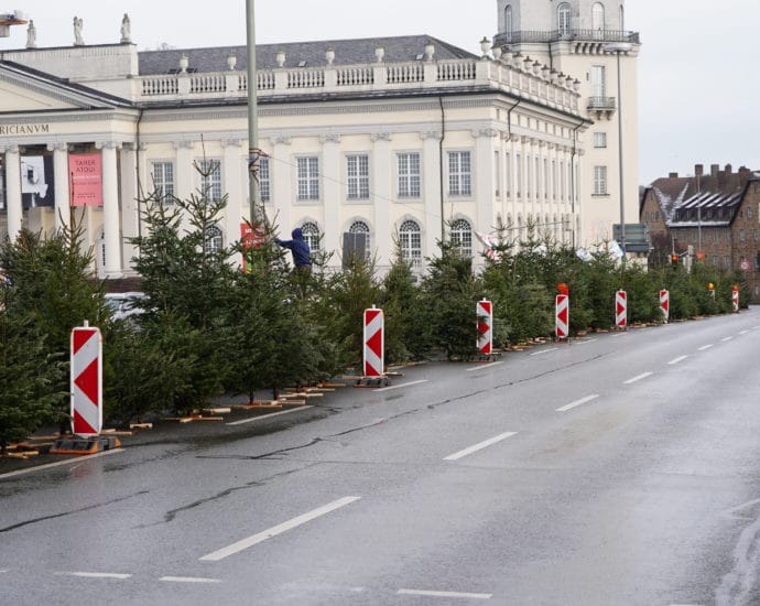 Wald statt Asphalt – 200 Tannenbäume symbolisch in Kassel gepflanzt (Video) Wald statt Asphalt – 200 Tannenbäume symbolisch in Kassel gepflanzt (Video)