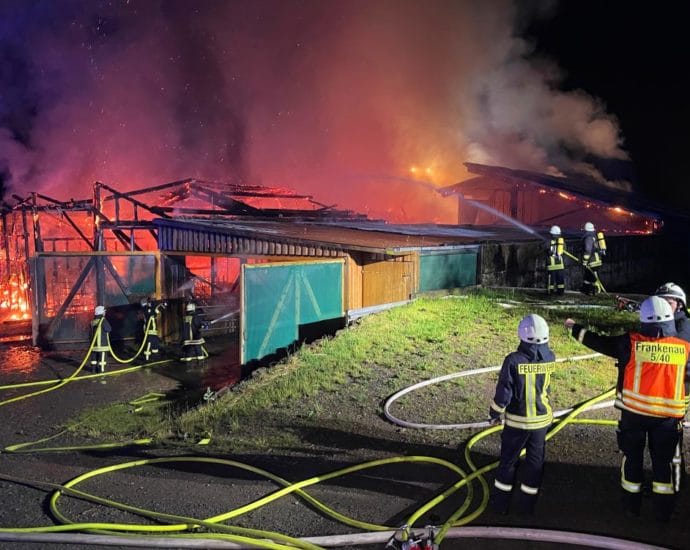 Neun Kälber verenden bei Großbrand in Frankenau