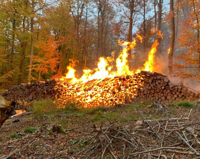 WOH: 120 Einsatzkräfte beim Waldbrand im Einsatz WOH: 120 Einsatzkräfte beim Waldbrand im Einsatz