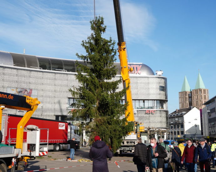 Märchenweihnachtsmarkt: Der Kasseler Weihnachtsbaum kommt aus Niedenstein (VIDEO)