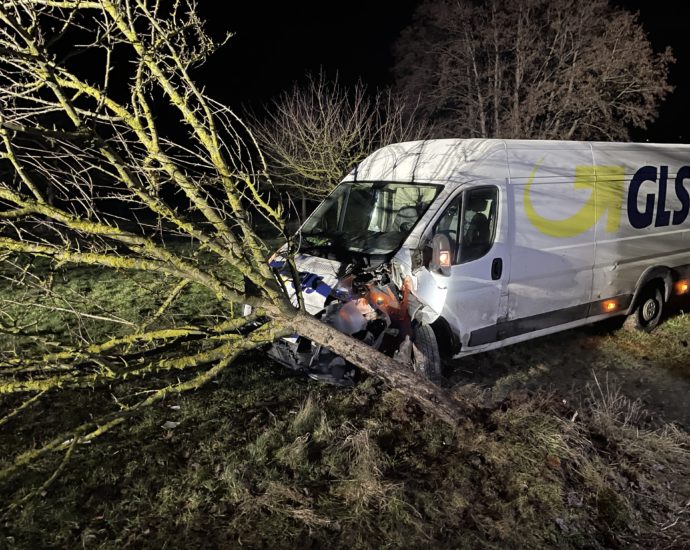 Transporter kommt von der Straße ab und prallt gegen Baum