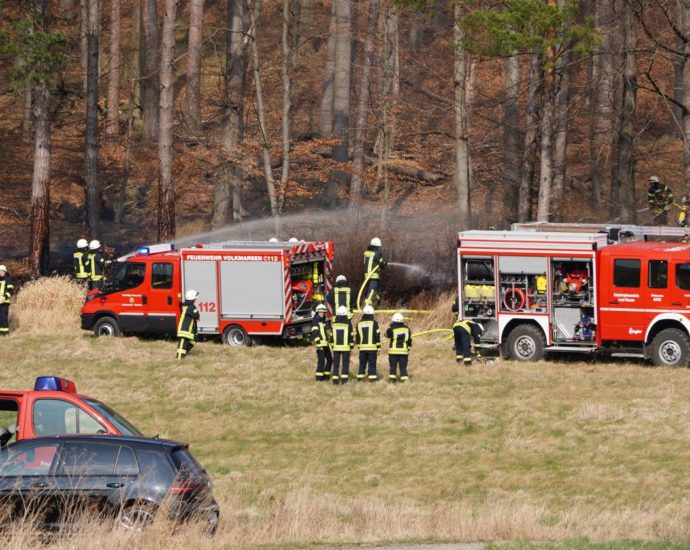 Waldbrand bei Ehringen – Feuerwehr konnte schlimmeres verhindern Waldbrand bei Ehringen – Feuerwehr konnte schlimmeres verhindern
