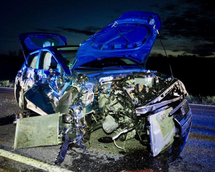 Wild ausgewichen und mit Baum kollidiert Wild ausgewichen und mit Baum kollidiert