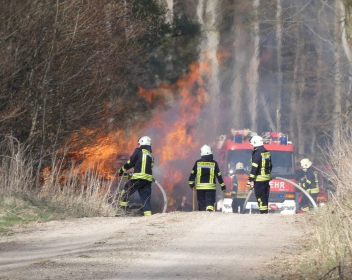 Waldeck Frankenberg: Zwei Holzstapel brannten – Feuerwehr sechs Stunden im Einsatz Waldeck Frankenberg: Zwei Holzstapel brannten – Feuerwehr sechs Stunden im Einsatz