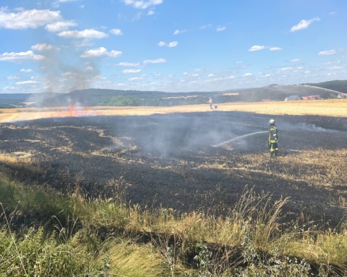 Stoppelfeld brannte bei Rörshain (VIDEO) Stoppelfeld brannte bei Rörshain (VIDEO)