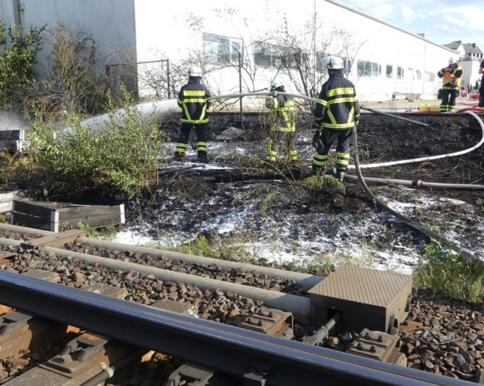 Defekte Zugbremse? – Böschungsbrand an Bahnstrecke in Fuldatal Defekte Zugbremse? – Böschungsbrand an Bahnstrecke in Fuldatal