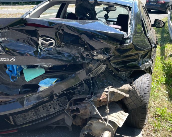 Wild ausgewichen – Fahrzeug Totalschaden Wild ausgewichen – Fahrzeug Totalschaden