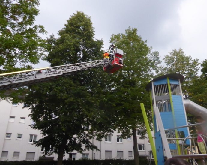 KS: Feuerwehr rettet Kind vom Baum KS: Feuerwehr rettet Kind vom Baum
