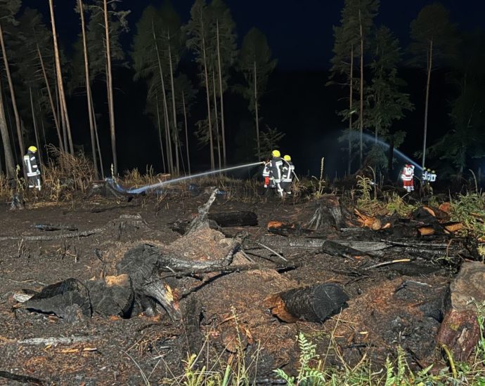 10.000 m² Wald brannte – 150 Feuerwehrleute im Löscheinsatz 10.000 m² Wald brannte – 150 Feuerwehrleute im Löscheinsatz
