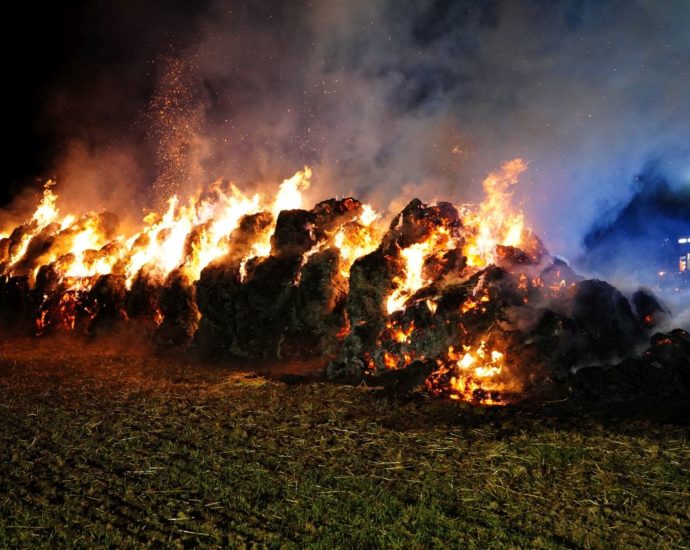 Rund 200 Strohballen brannten in Balhorn (VIDEO) Rund 200 Strohballen brannten in Balhorn (VIDEO)