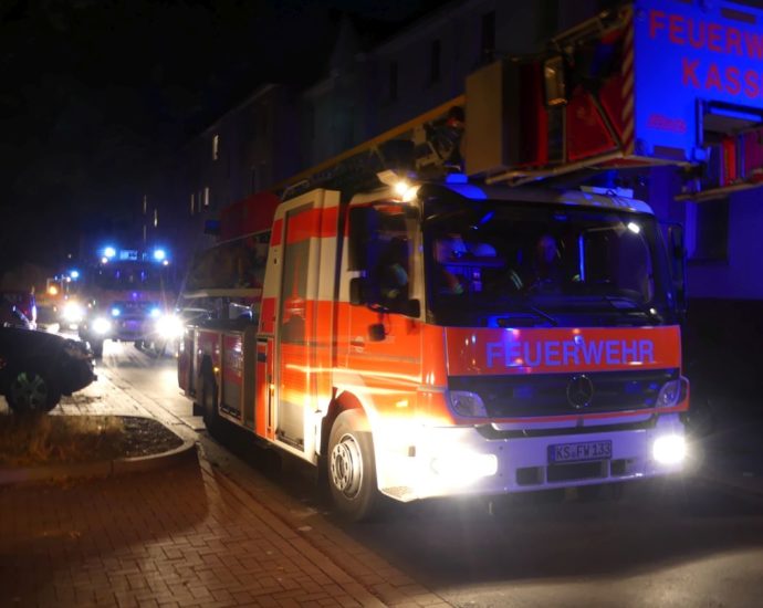 Katzen löste vermutlich Küchen-Brand in Kassel aus Katzen löste vermutlich Küchen-Brand in Kassel aus
