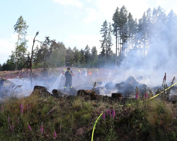 Südhessen: Waldbrand bei Mossautal Südhessen: Waldbrand bei Mossautal