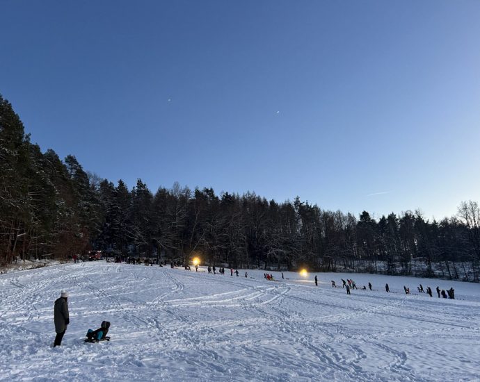 Wollrode: Flutlichtrodeln für Groß und Klein