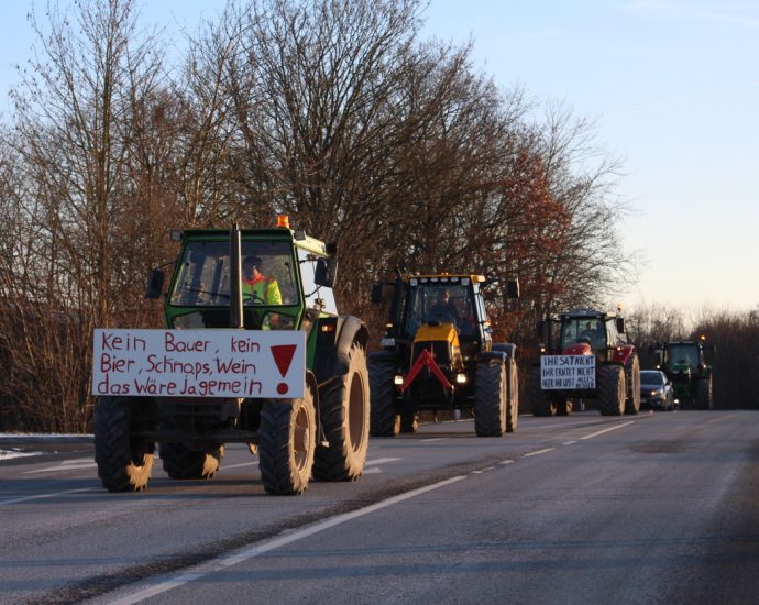 Tausende Menschen protestieren friedlich gegen geplante Sparmaßnahmen (VIDEO)