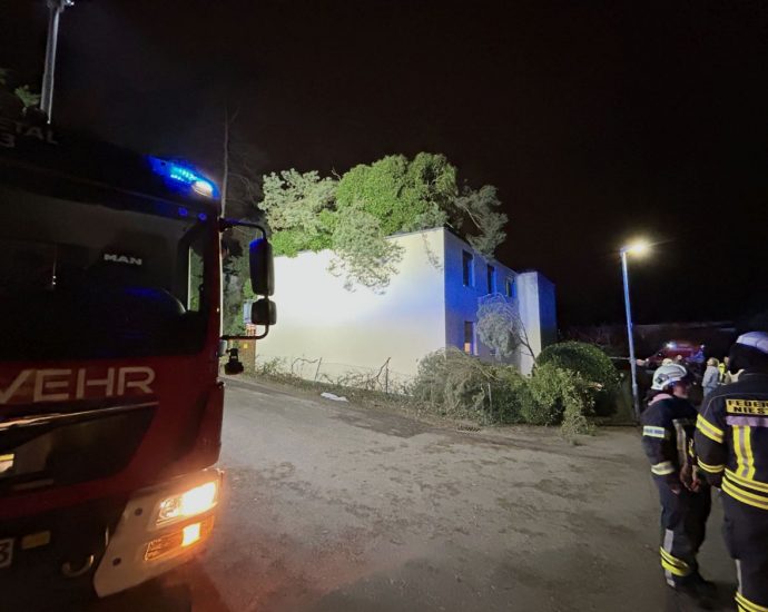 Niestetal: 25 Meter hoher Baum stürzt auf Wohnhaus – Feuerwehr im Einsatz