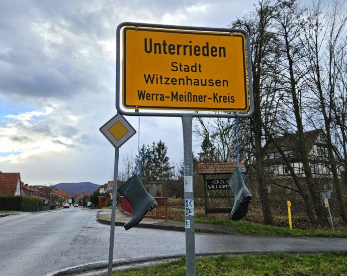 17 Schafe auf Weide bei Witzenhausen verhungert – Polizei ermittelt 17 Schafe auf Weide bei Witzenhausen verhungert – Polizei ermittelt