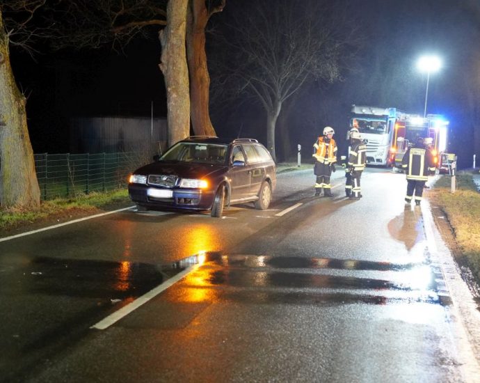 8-jähriges Kind bei Unfall nahe Adorf tödlich verletzt 8-jähriges Kind bei Unfall nahe Adorf tödlich verletzt