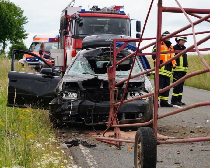 Külte: PKW kracht in Treibwagen – Kind ins Krankenhaus geflogen – Rind erlöst Külte: PKW kracht in Treibwagen – Kind ins Krankenhaus geflogen – Rind erlöst